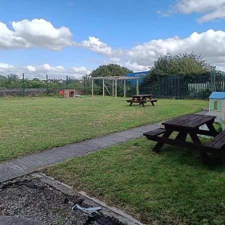 Hostel Y Doc At World Horizons Community Hub Llanelli Exteriér fotografie